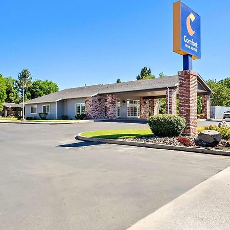 Comfort Inn & Suites Susanville Extérieur photo